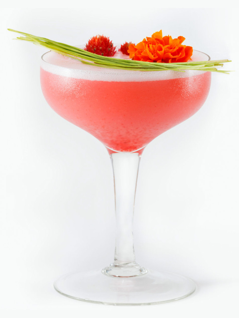 Shrub Cocktails Spirited South Florida